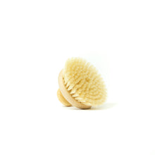 Burstenhaus Redecker® Knob Dry Brush